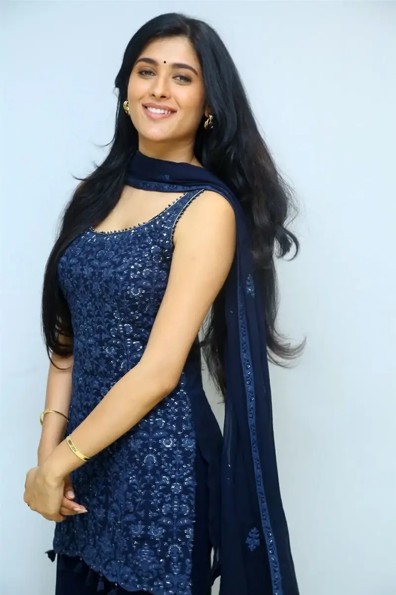 TELUGU GIRL GEETHIKA TIWARY AT AHIMSA MOVIE PRESS MEET 11